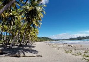 Playa Puerto viejo, Costa Rica.