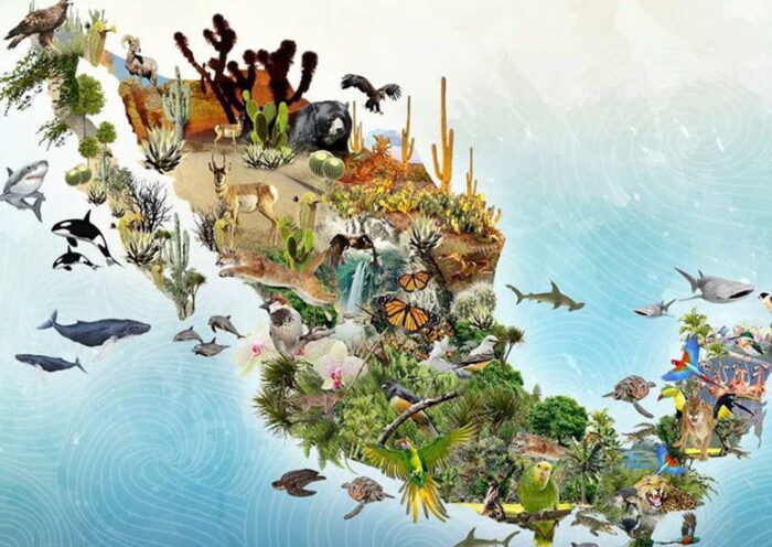 La biodiversidad de la tierra