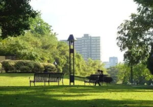 Parque Fernando Peñalver