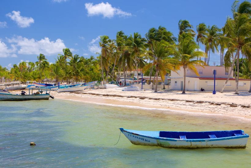 Cabeza de Toro Republica Dominicana