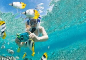 Snorkel y buceo