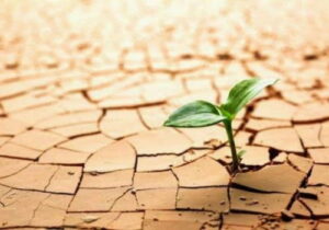 Resiliencia