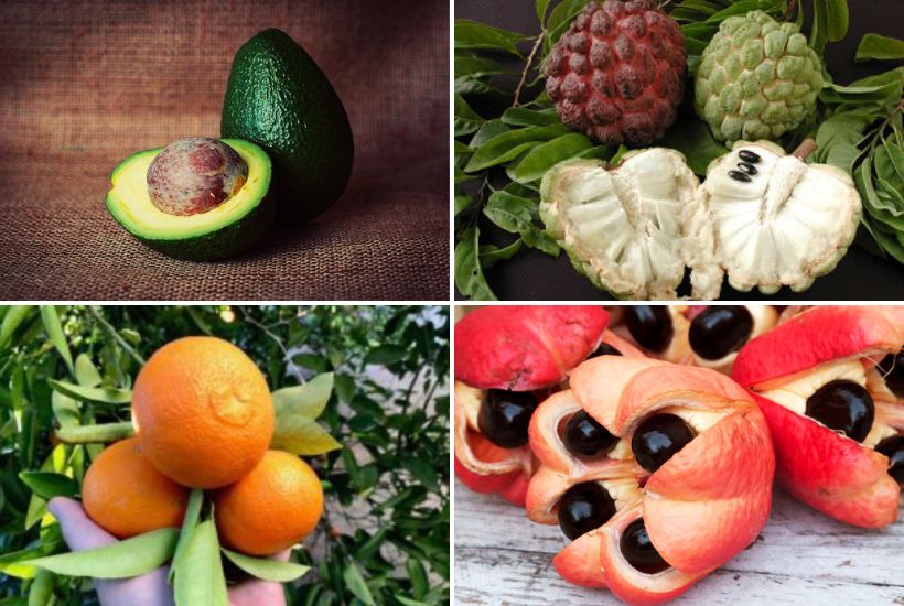 Frutas Exóticas