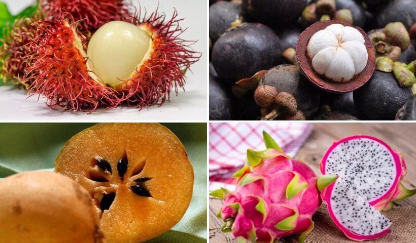 Frutas exóticas de México