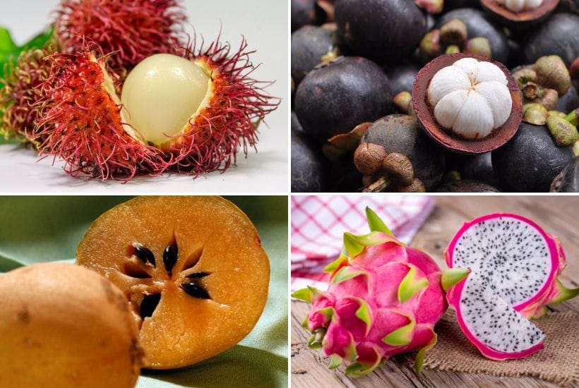 Frutas exóticas de México