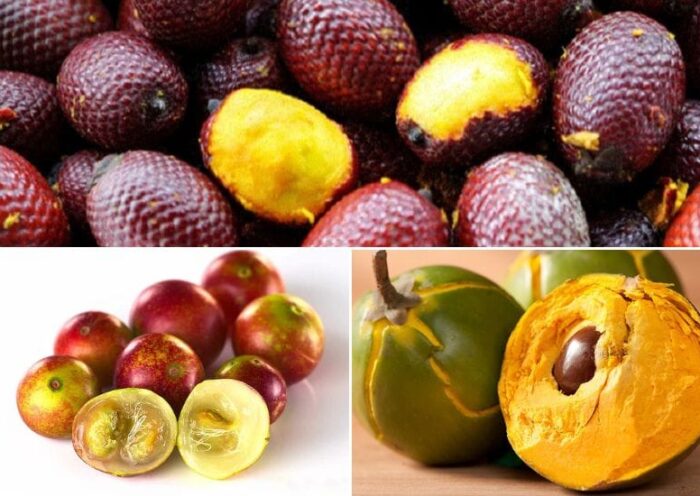Frutales Exóticas de Perú