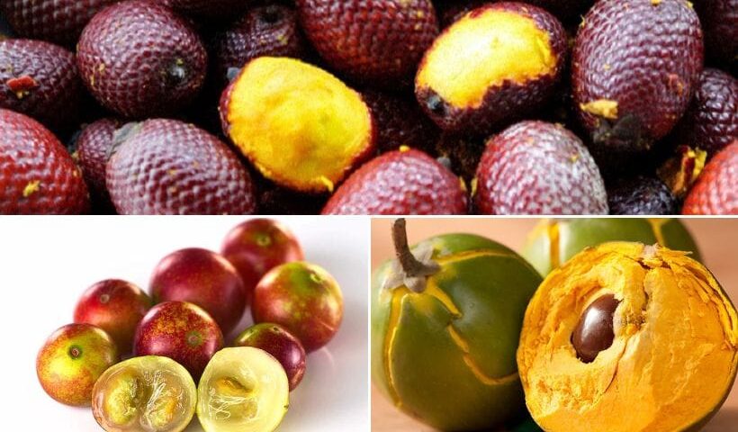 Frutales Exóticas de Perú