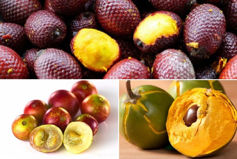 Frutales Exóticas de Perú