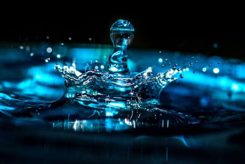 Semana Mundial del Agua