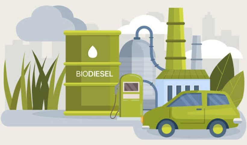 El Biodiésel