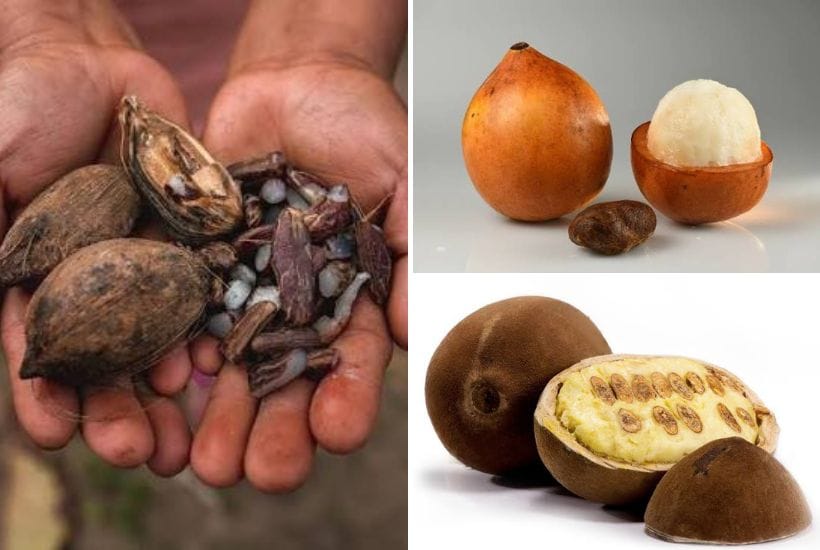 Frutas de la Amazonía boliviana