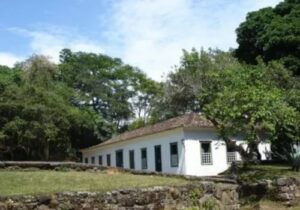 Forte Defensor Perpétuo