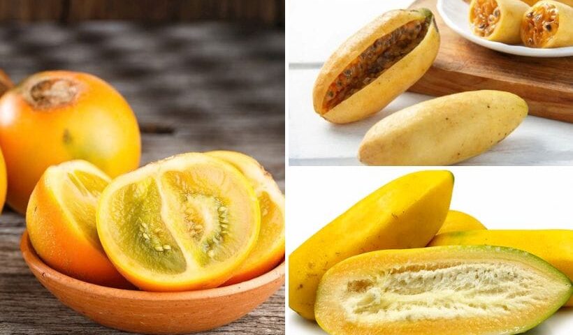 frutas exóticas de Ecuador